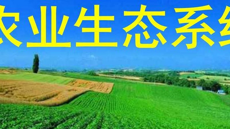 粮食批发市场价格波动背后的秘密**