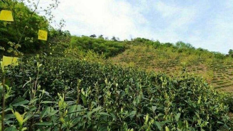 农业创业项目加盟，费用构成解析**