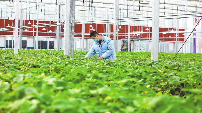 合作社注销代理公司：流程解析与注意事项