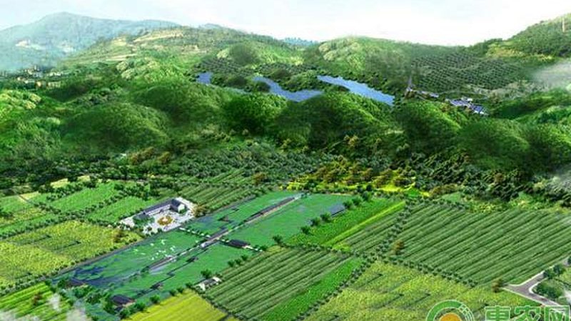 生鲜配送加盟：区域保护政策下的行业发展