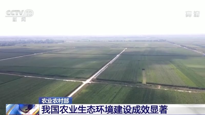 山东水果种植基地：如何确保果品质量达标？**