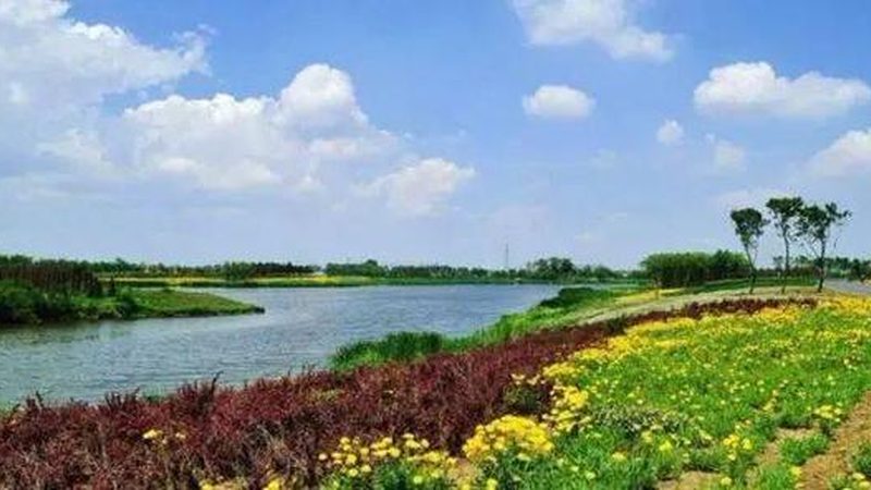 申报材料是农业项目申报的关键，以下列出常见的申报材料：