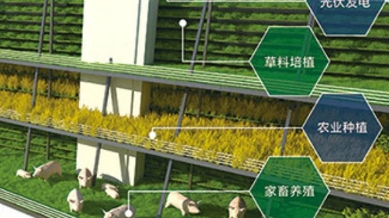 育苗大棚一亩造价，你了解多少？**