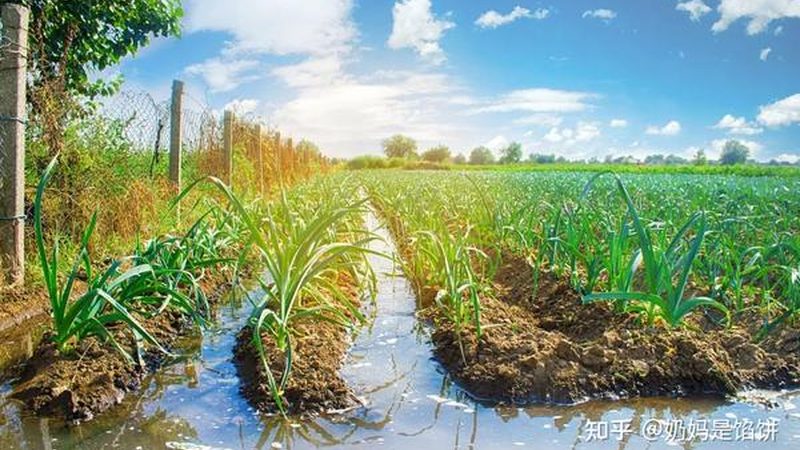 农资集采定制厂家推荐