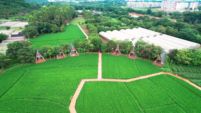 小标题：行业背景探析