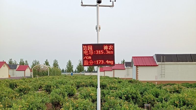 生态农业种植项目：如何选择合适的项目**