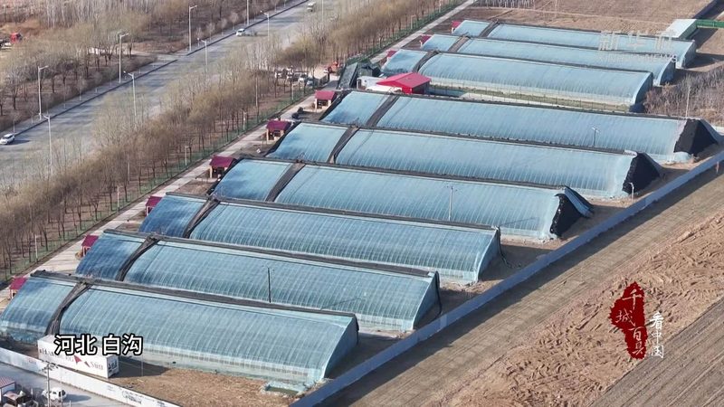 生鲜分拣效率提升的关键因素