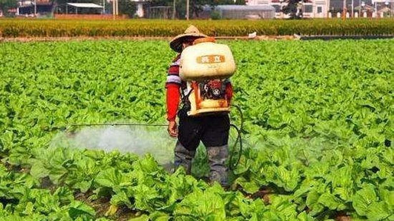 农业光伏项目安装报价揭秘：标准与考量**