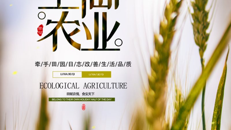 农家乐设计：家庭农场如何打造个性化休闲体验**